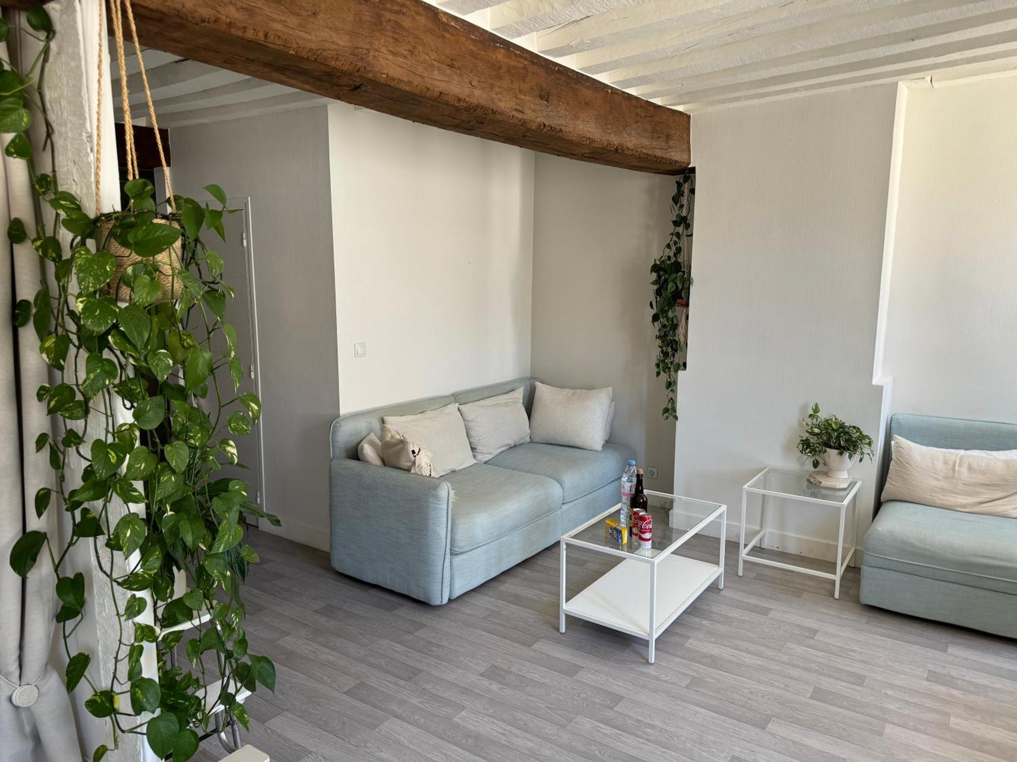 Appartement Central - Orléans Eksteriør billede