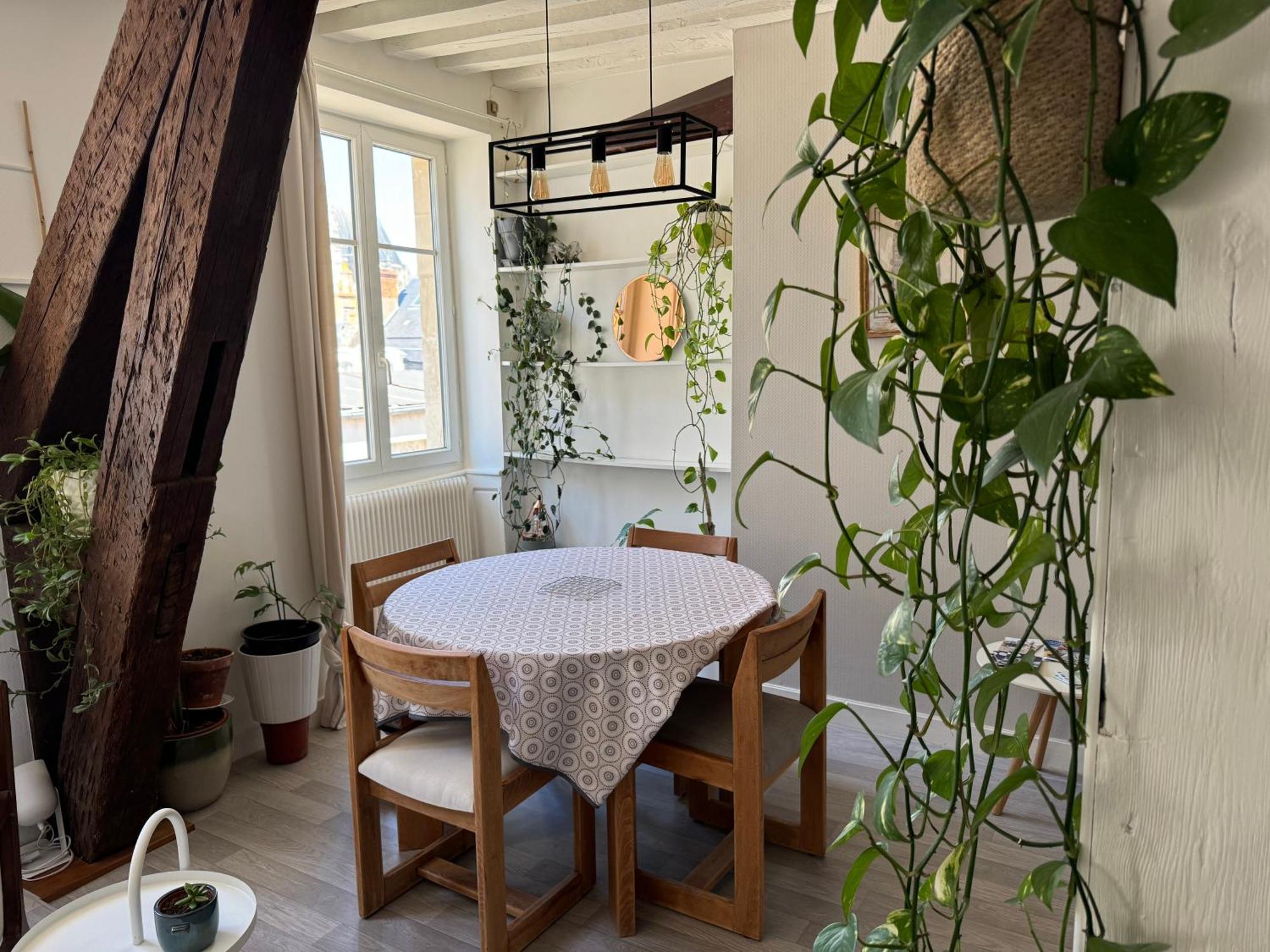 Appartement Central - Orléans Eksteriør billede