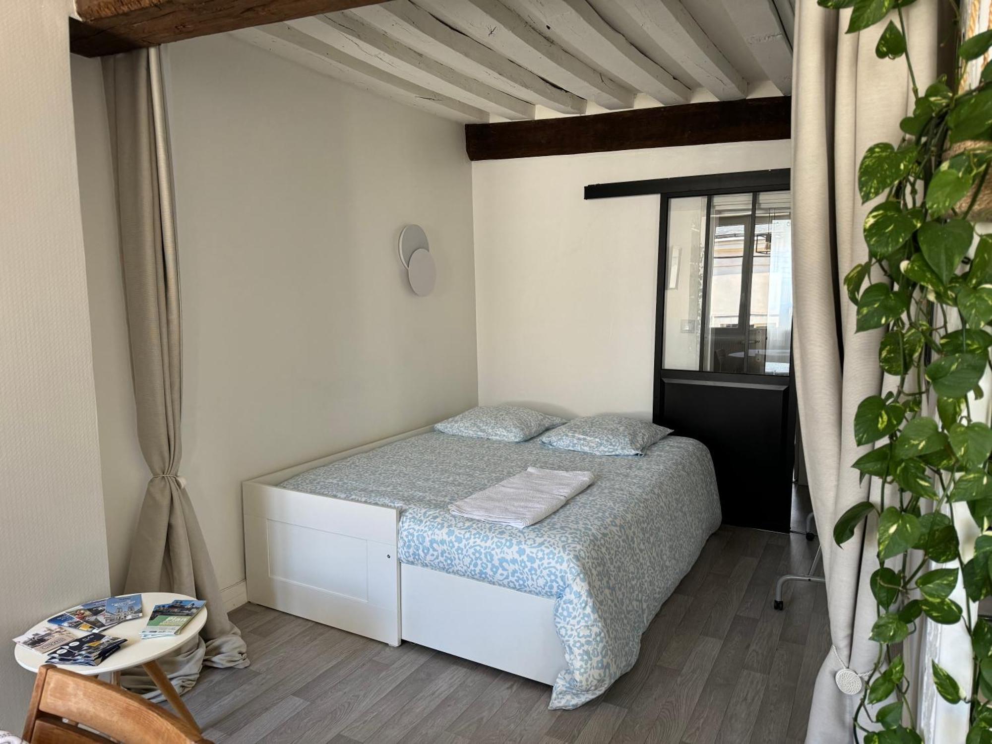 Appartement Central - Orléans Eksteriør billede