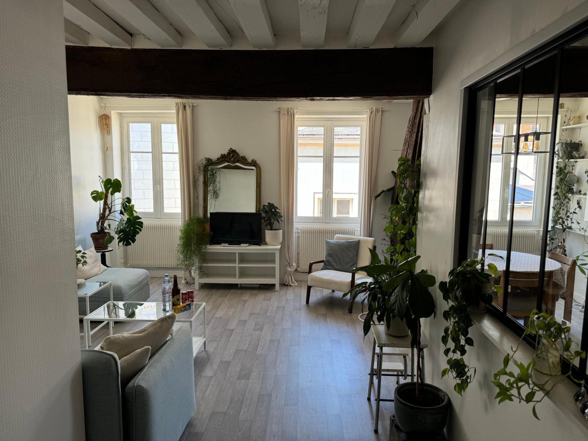 Appartement Central - Orléans Eksteriør billede